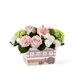 The FTD Darling Baby Girl Bouquet from Krupp Florist, your local Belleville flower shop
